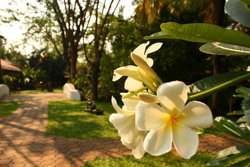 Secret Garden Chiangmai Hotell San Kamphaeng Eksteriør bilde