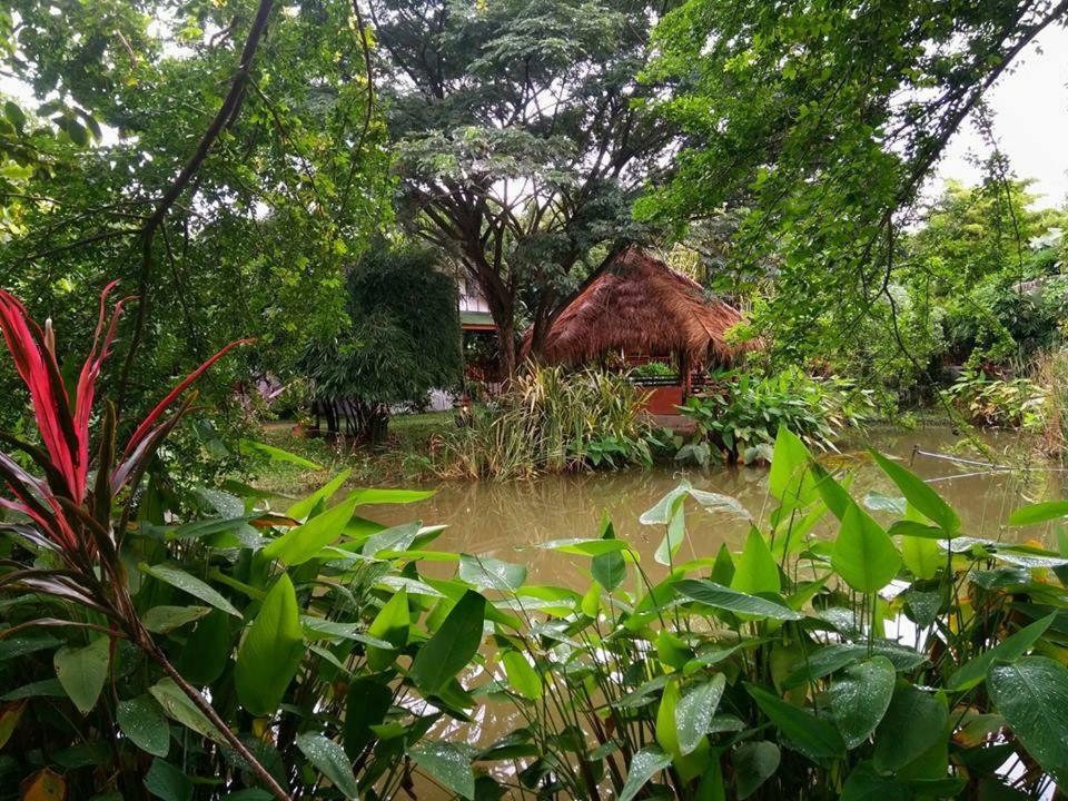 Secret Garden Chiangmai Hotell San Kamphaeng Eksteriør bilde